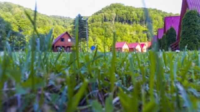 Bieszczady gdzie nocleg - najlepsze opcje zakwaterowania dla Ciebie Bieszczady gdzie nocleg - najlepsze opcje zakwaterowania dla Ciebie