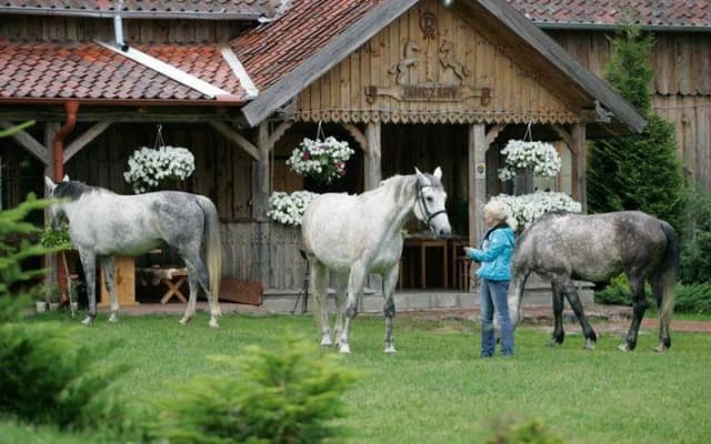 Czy agroturystyka jest otwarta? Sprawdź dostępność i uniknij rozczarowania Czy agroturystyka jest otwarta? Sprawdź dostępność i uniknij rozczarowania