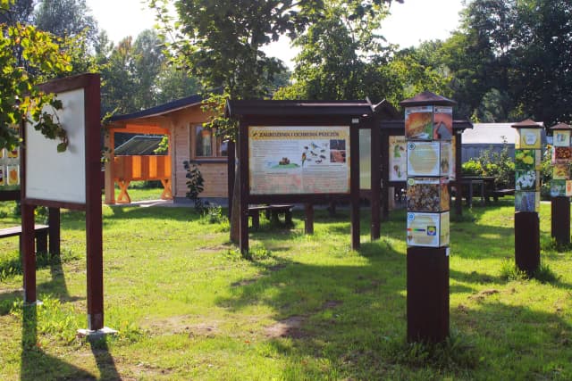 Skansen pszczelarski: odkryj fascynującą historię pszczelarstwa w Polsce Skansen pszczelarski: odkryj fascynującą historię pszczelarstwa w Polsce